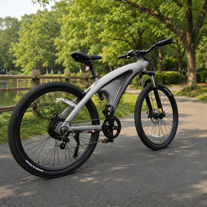 Bicicletta elettrica HX Q5 Shark con batteria integrata da 48V 20Ah.